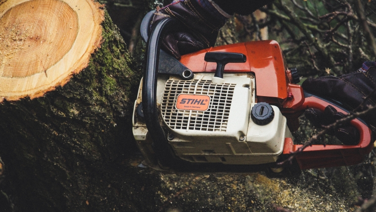 Tree Surgery & Pruning