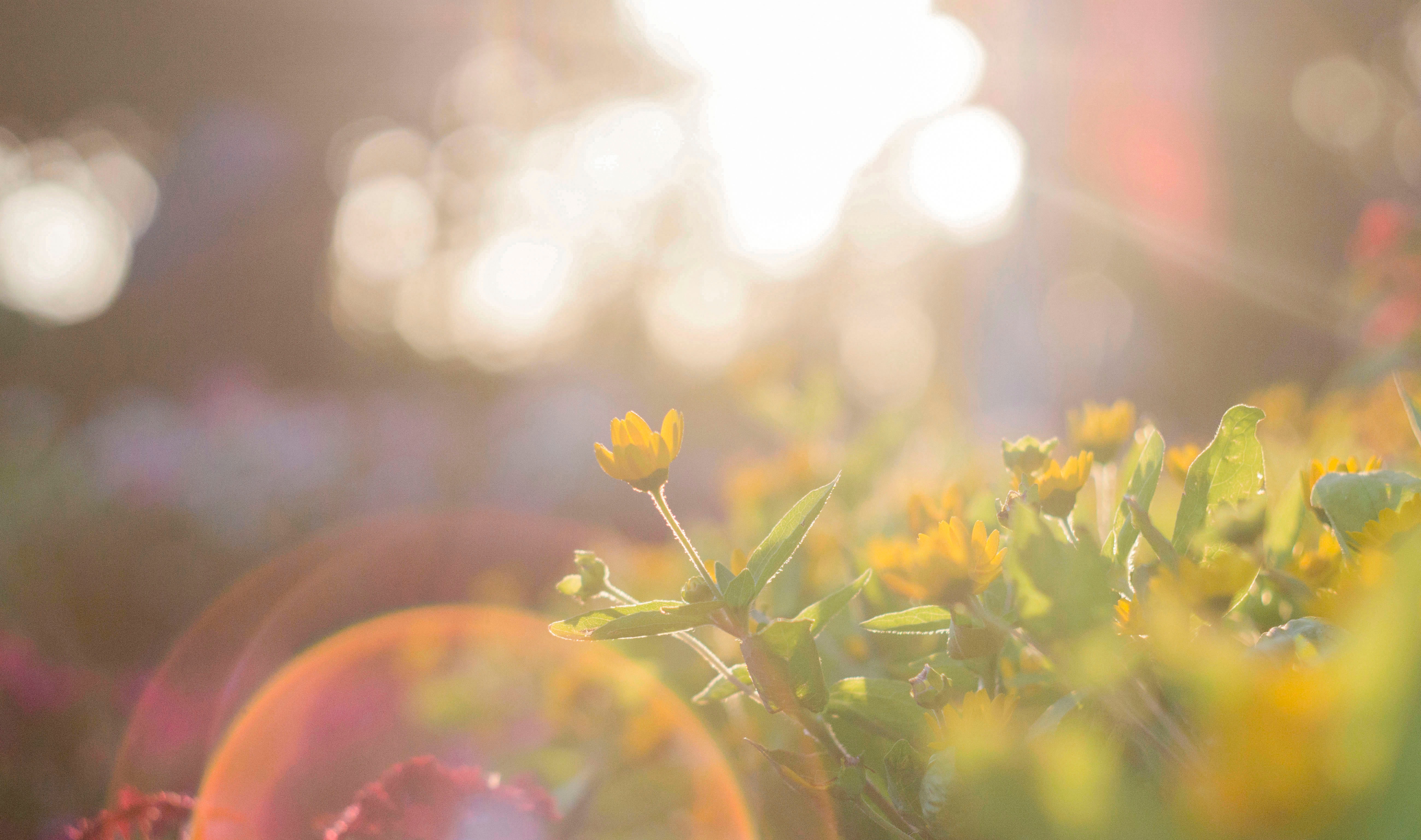 Gardeners in North Devon